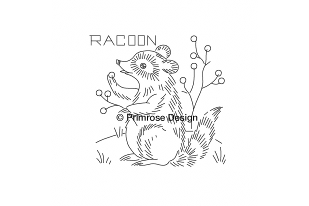 raccoon