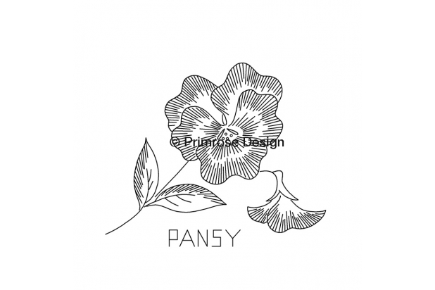 pansy