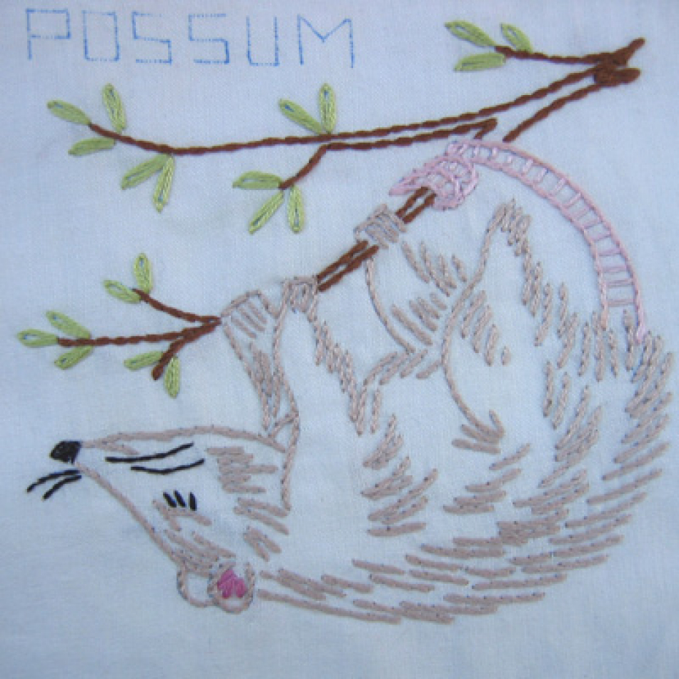 possum.jpg